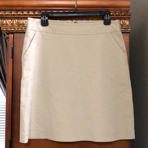 Banana Republic skirt